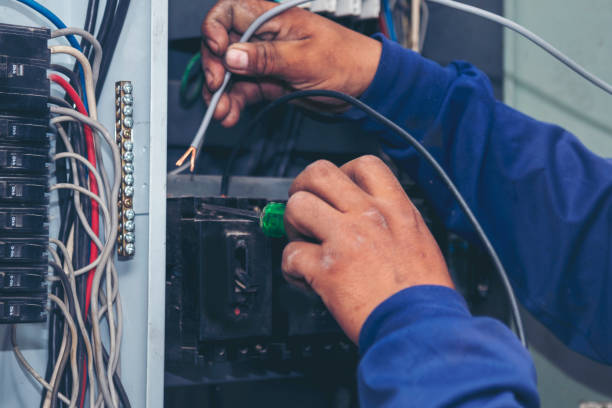 Best Electric Panel Repair  in Peachtree City, GA